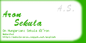 aron sekula business card